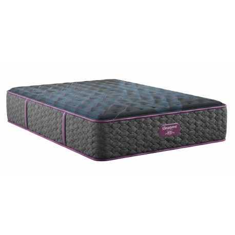 Beautyrest® World Class Level 3 Plush Mattress