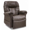 Artemis Eclipse Power Lift Recliner
